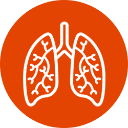 Fortalece sistema respiratorio